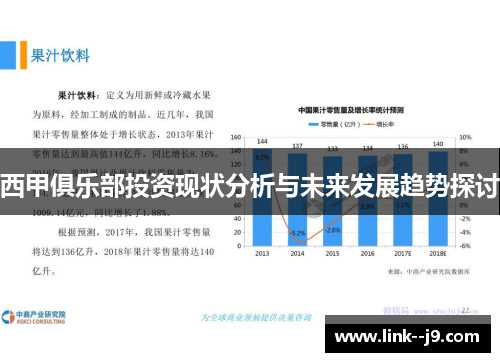 西甲俱乐部投资现状分析与未来发展趋势探讨