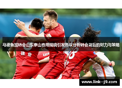 马德鲁加转会山东泰山费用揭晓引发热议分析转会背后的财力与策略